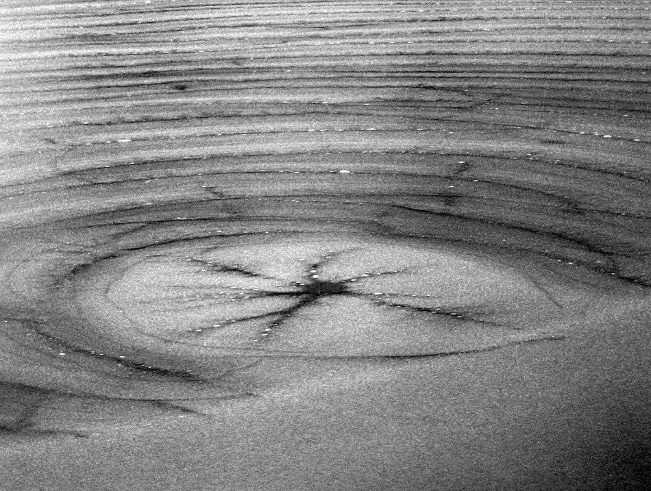 frozen pond black and white photo
