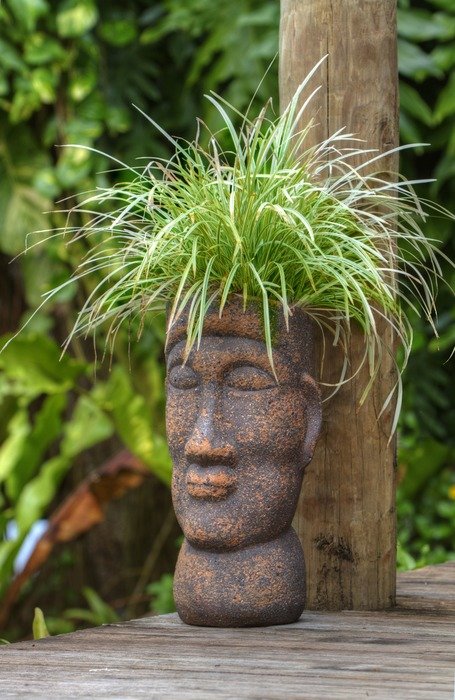 pot shaped head in Polynesia