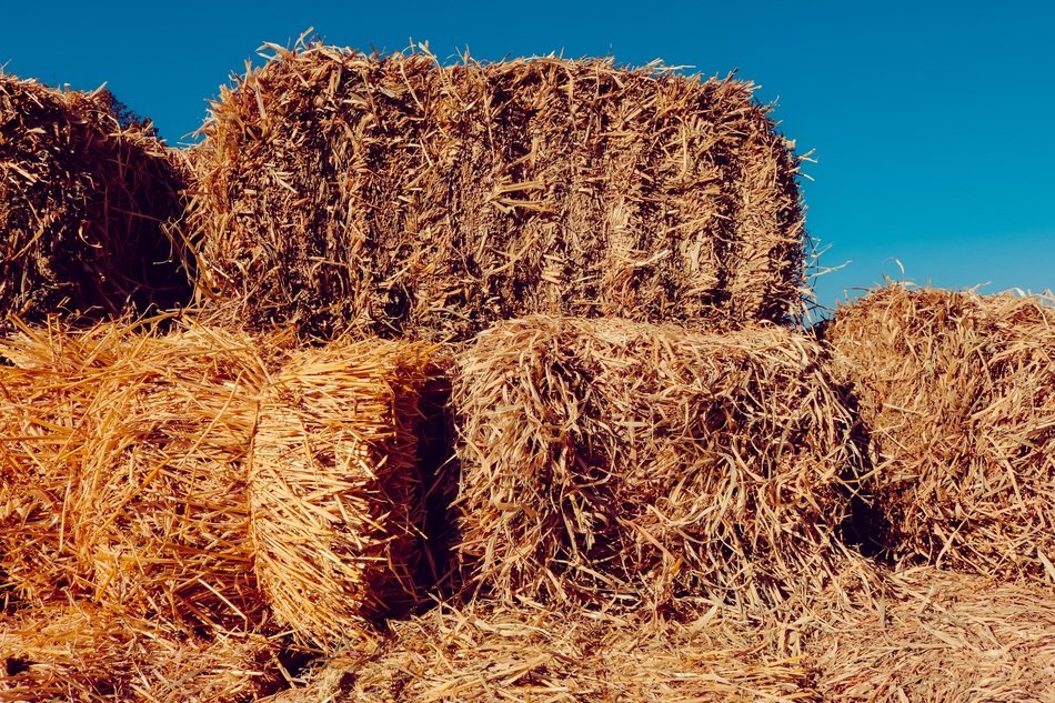 brown sunny hay farm