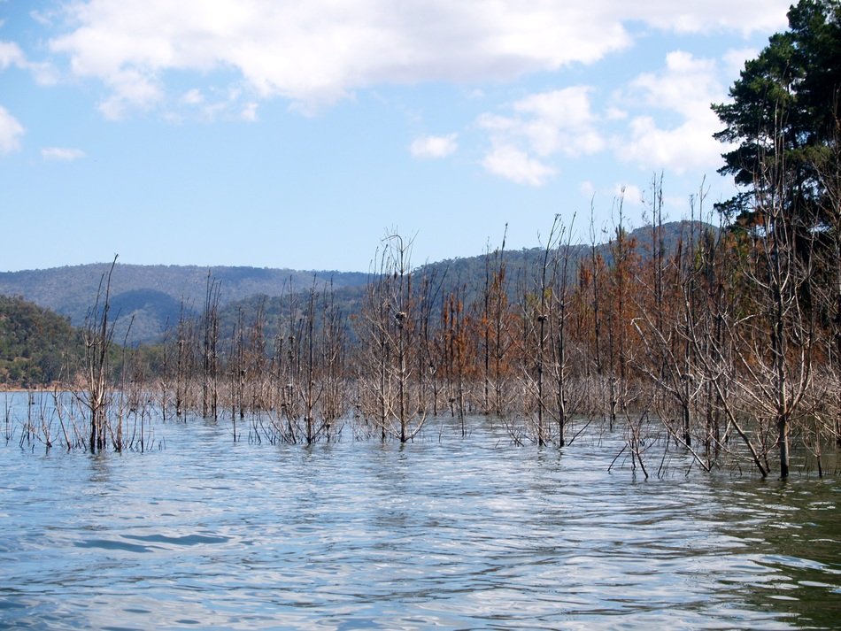 Beautiful lake in the National Park in Eildon