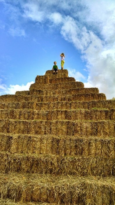 Children climbing the pyramid