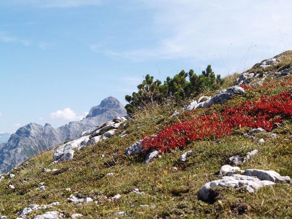 landscape in the alpine mountains