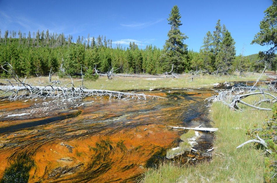 Beautiful Rabbit Creek in Yellowstone National Park