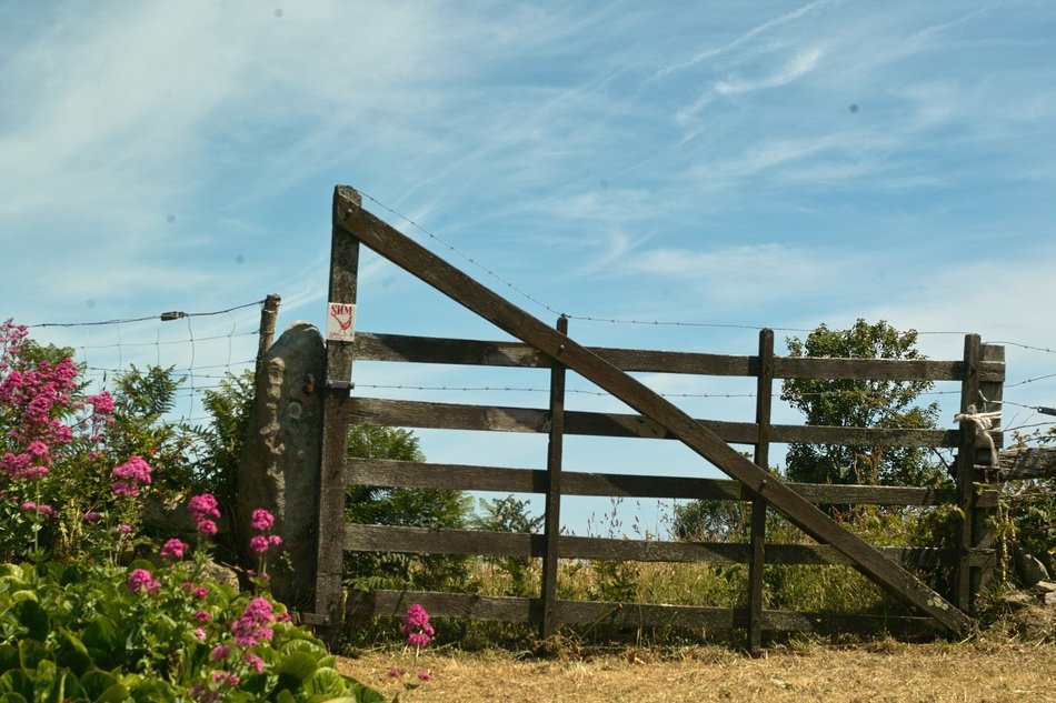 the fence in the garden