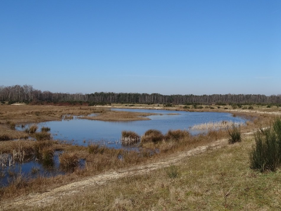 lake in the North Brabant, netherlands