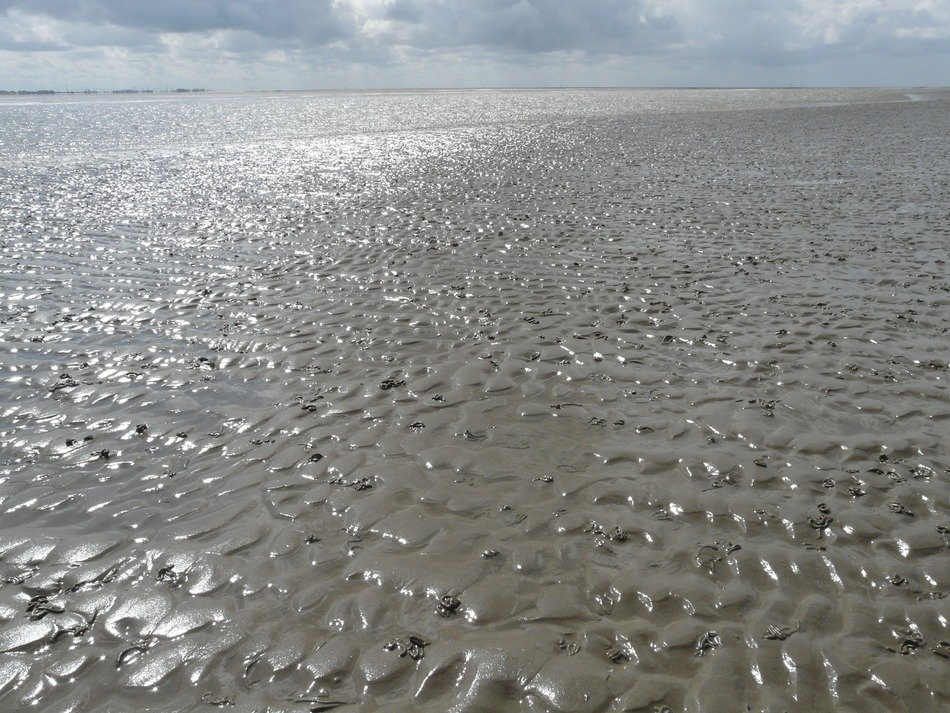 wadden sea is the waters of the north sea