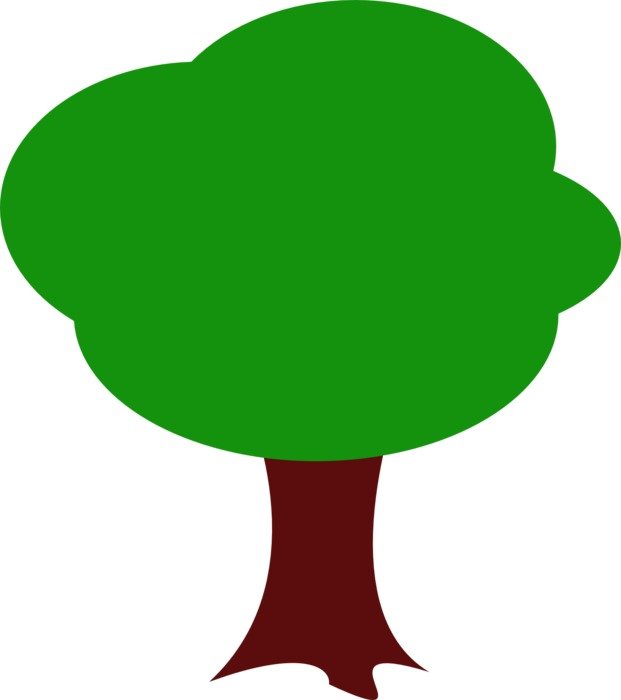 Picture of green leaf tree