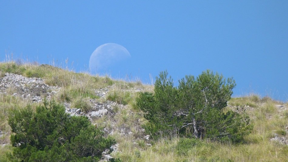 silhouette of the moon in the blue sky over the hill