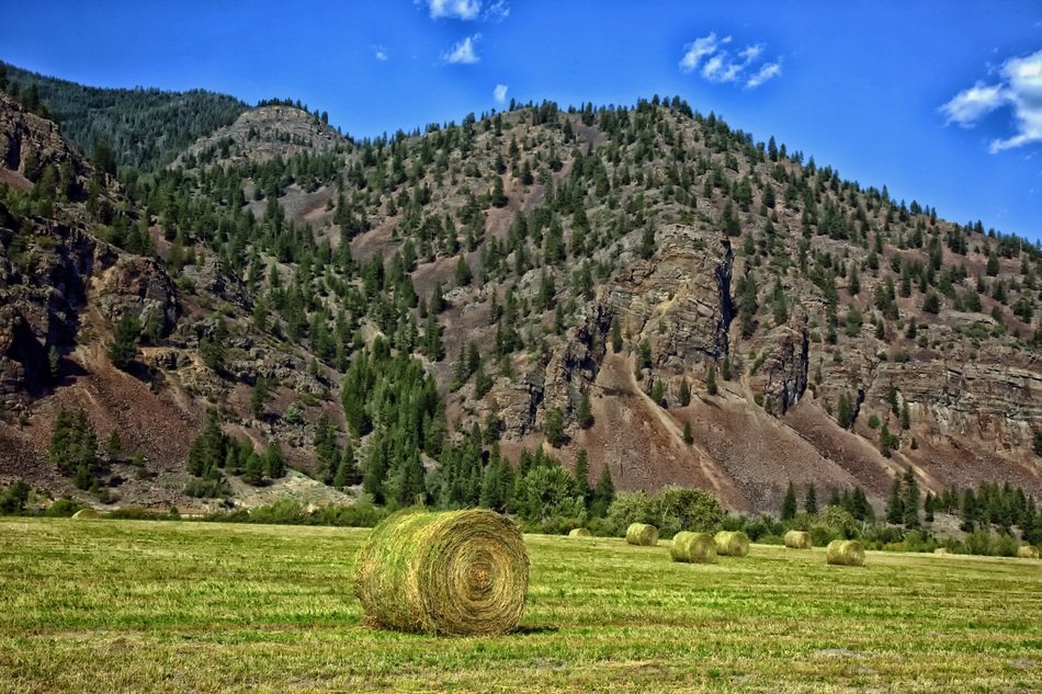 picture of the hay bales on a field and mountains