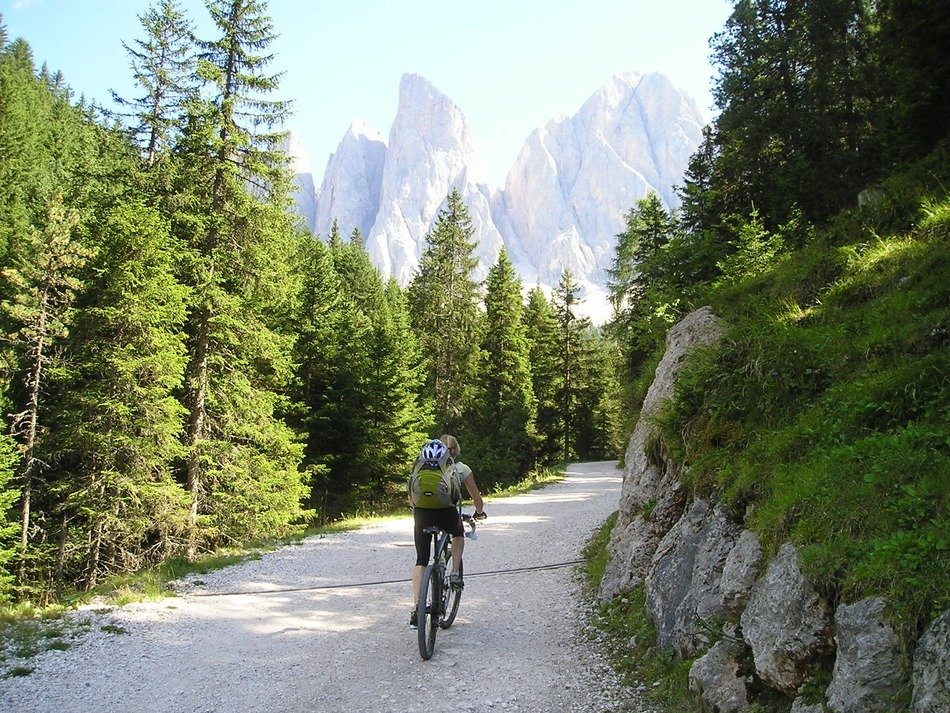 mountain bike for the alps