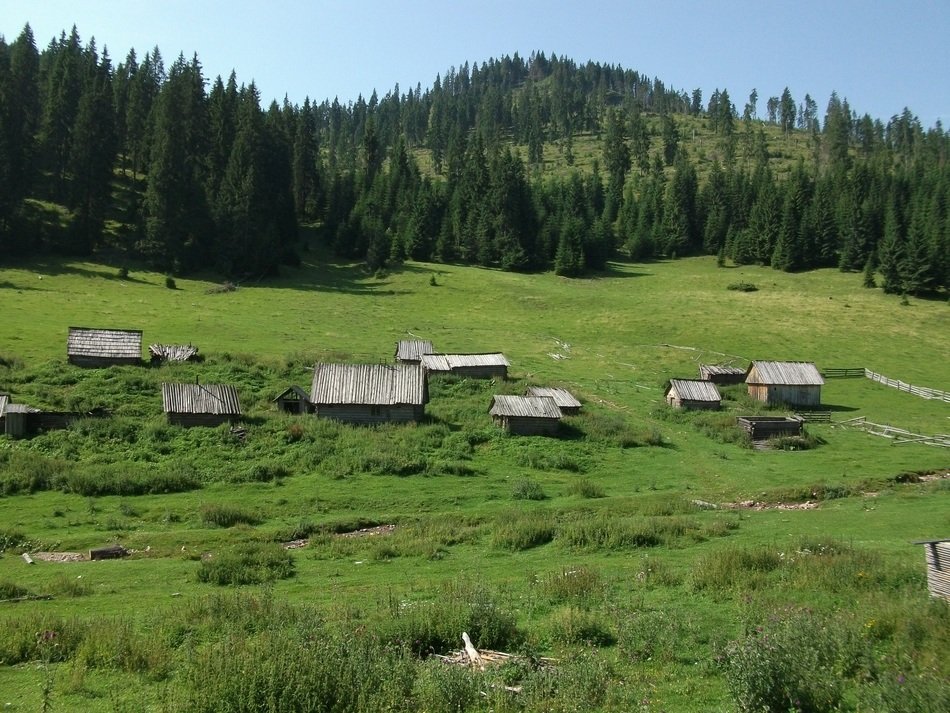Beautiful village near a forest on Charpatian in Romania