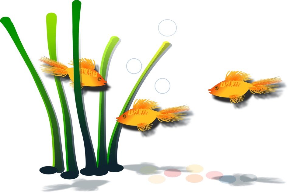 goldfish among green plants as a graphic image