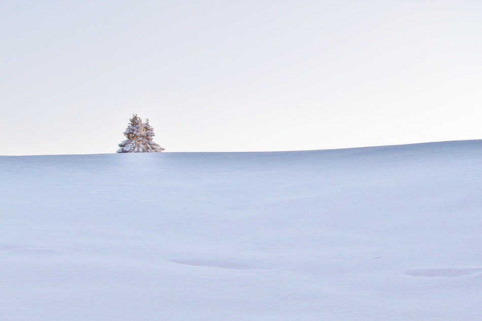 snow magic on the field
