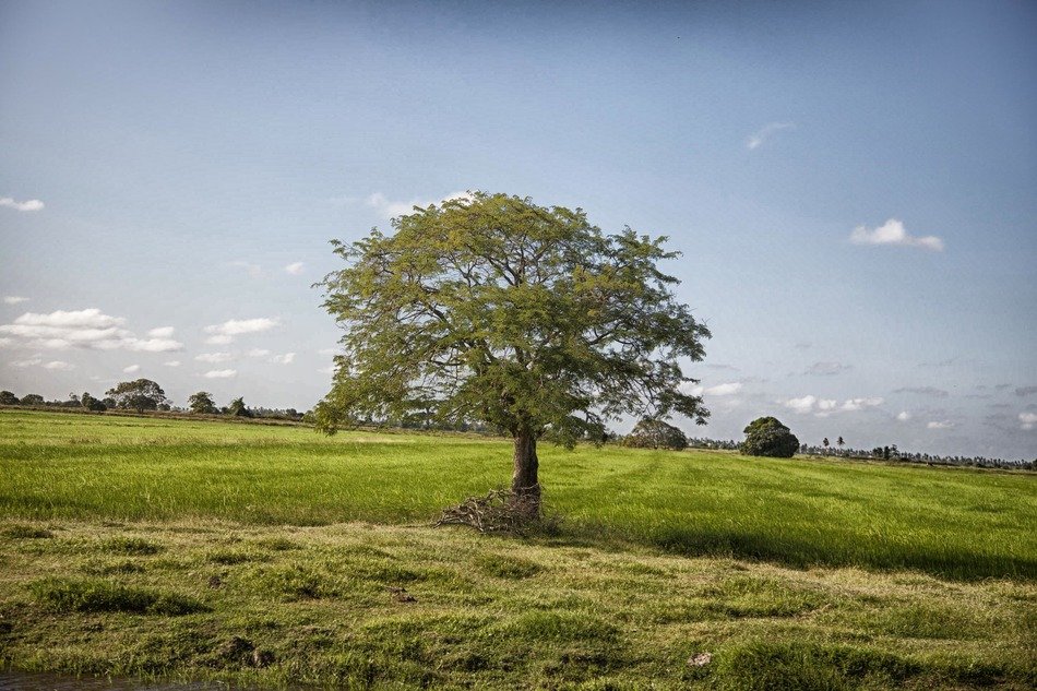 Beautiful landscapes in Guyana