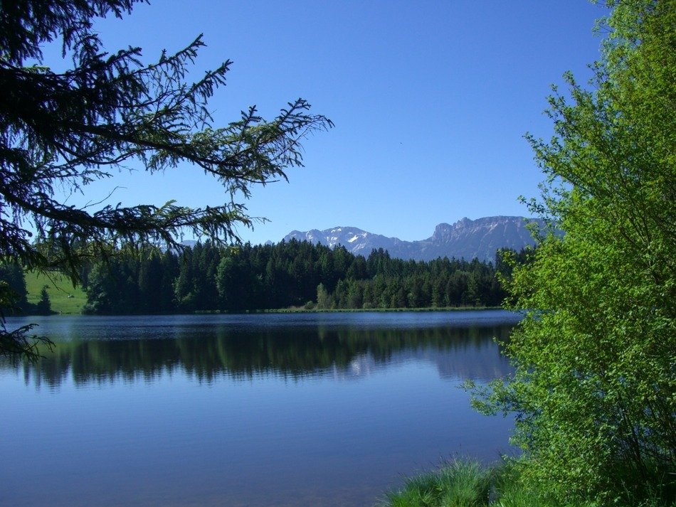 Kogel pond overlooking the mountain