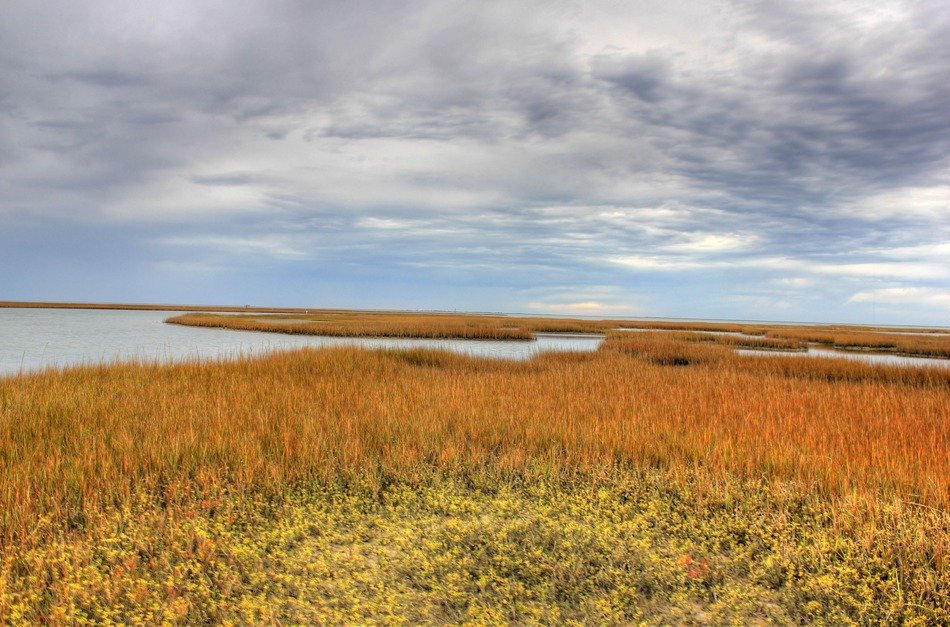 hot colored thickets at blue water under white clouds