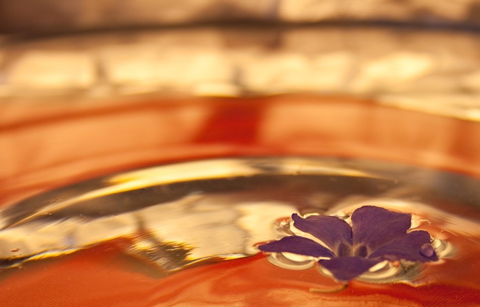 purple flower on the water surface