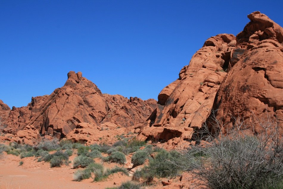 beauty of a red rocks