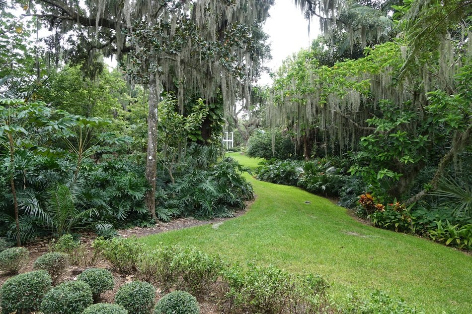 botanical garden in summer
