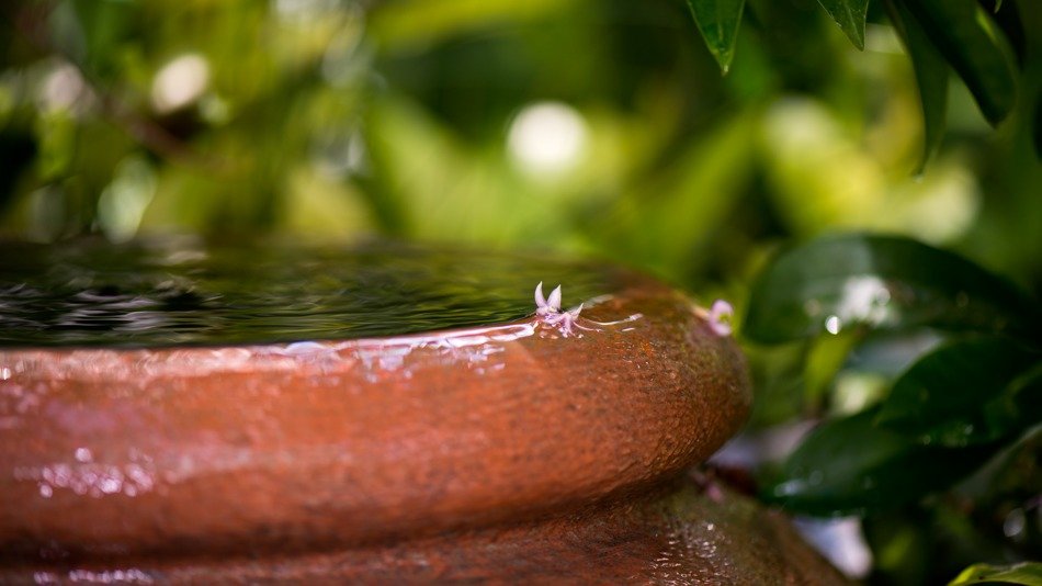fresh water in italian garden
