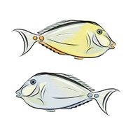 Fish sketch for your design N2