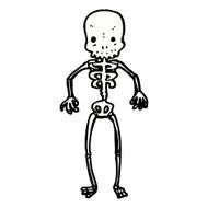 Cartoon Skeleton N20
