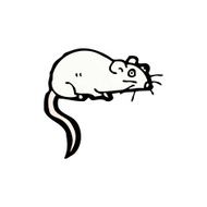 cartoon white mouse N37