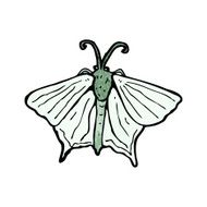 Cartoon Moth N5