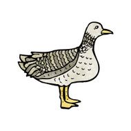 Cartoon Duck N35