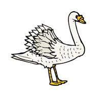 swan illustration N3