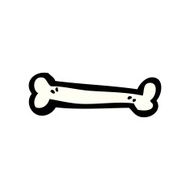 Cartoon Bone N21