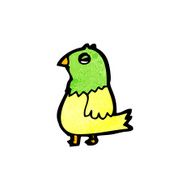 Cartoon Parrot N14