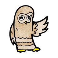 Cartoon Owl N165