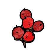 Cartoon Berries N7