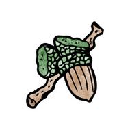 cartoon acorn N20