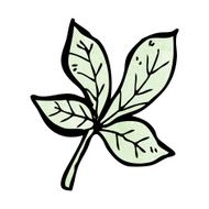 leaf illustration N5