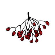 winter berries illustration N2