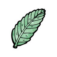 Cartoon Leaf N92