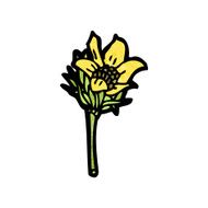 wildflowers illustration N7