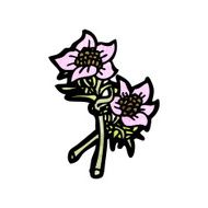 wildflowers illustration N8