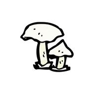 Cartoon Mushrooms N15