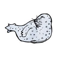 seal illustration N5