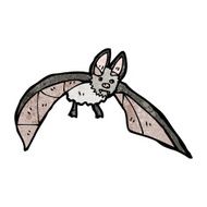 vampire bat illustration N3