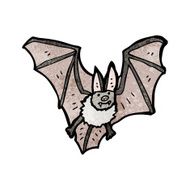 vampire bat illustration N4