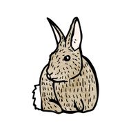 rabbit illustration N4