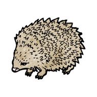hedgehog illustration N3