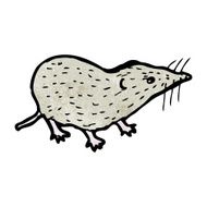 shrew illustration N7