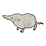 shrew illustration N8