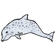 dolphin illustration N4