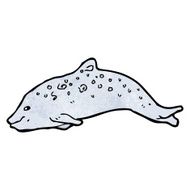 dolphin illustration N5